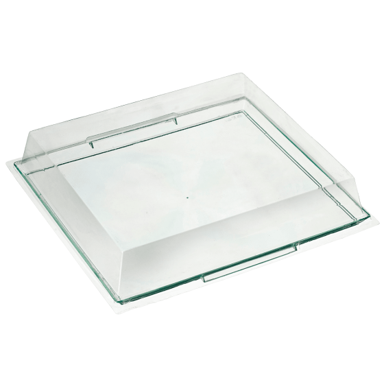 Plateau transparent vert (Atlas 2/3) 273x247 mm