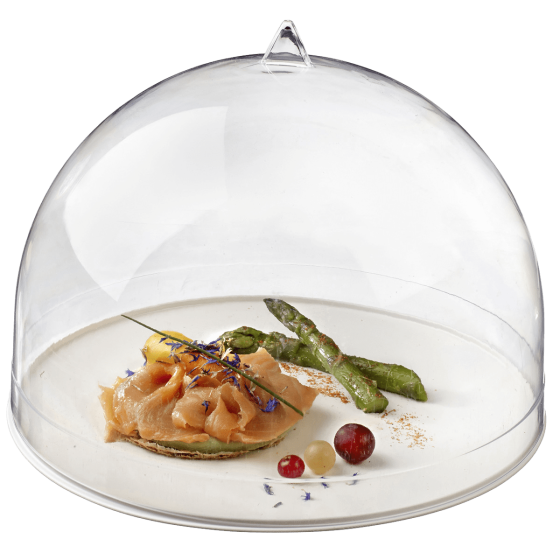 Coupole transparente PS H190 Ø260 mm Coupole transparente PS H190 Ø260 mm