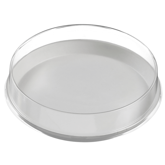 Piatto tondo Ninfea Ø 200 mm Piatto tondo Ninfea Ø 200 mm