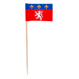 Pique drapeau Lyonnais