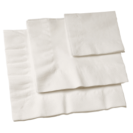 Serviette blanche Eco 2 plis 400x400 mm
