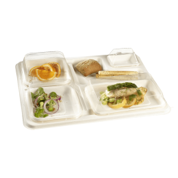 Plateau Natura 5 compartiments 390x300x20 mm