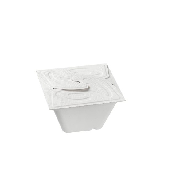 Vaschetta Quantum con chiusura incrociata 550 ml