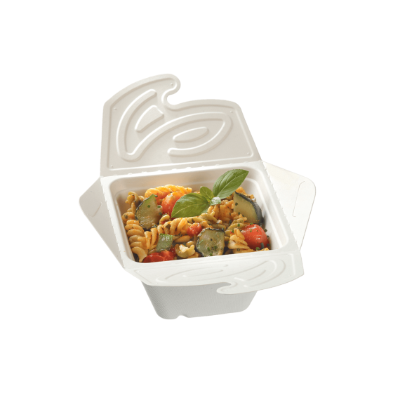 Vaschetta Quantum con chiusura incrociata 550 ml