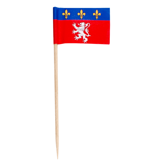 Pique drapeau Lyonnais