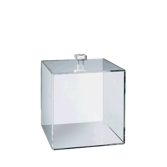 Cubo in PMMA da 100 x 100 mm con coperchio