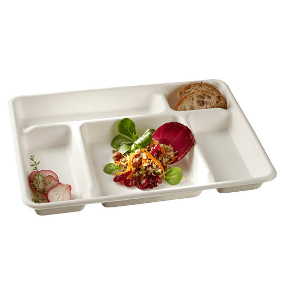 Vassoio a 5 scomparti 320x230 mm