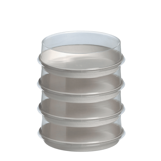 Busta in lino Ø 175 mm