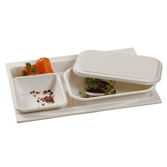 Vassoio in polpa di canna (Atlas 1/2)