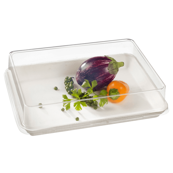 Assiette Kanopée 200x150x20 mm pulpe blanche laminée PE sans PFAS