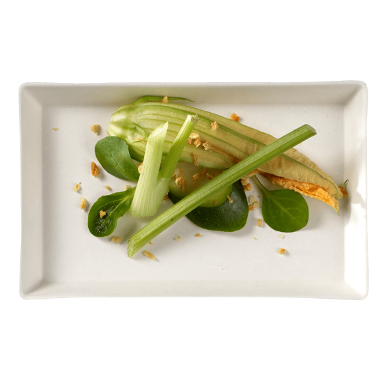 Assiette Quartz 160x100 mm