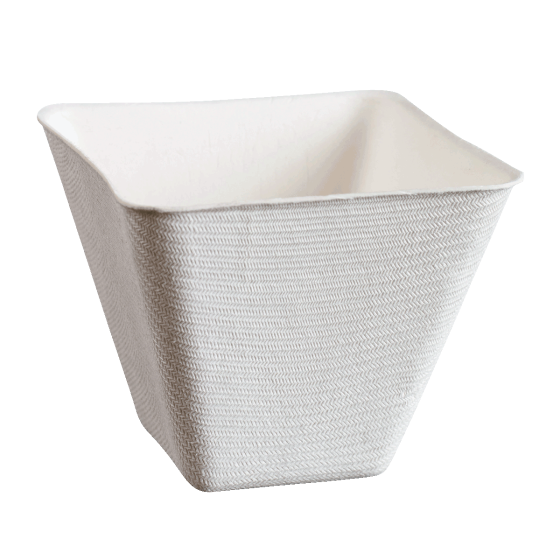 Verrine Emeraud' pulpe de canne laminée 220 ml